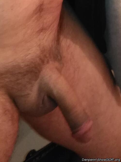 Adult image from Denpenn