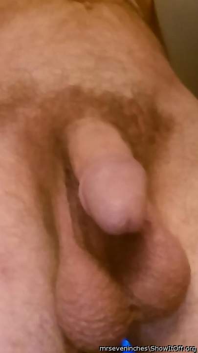 Adult image from mrseveninches
