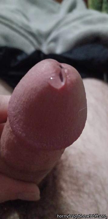 Adult image from hornyfrog
