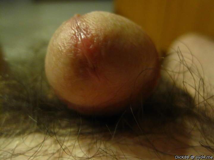 Adult image from Dick88