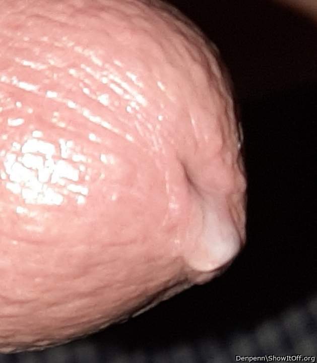 Adult image from Denpenn