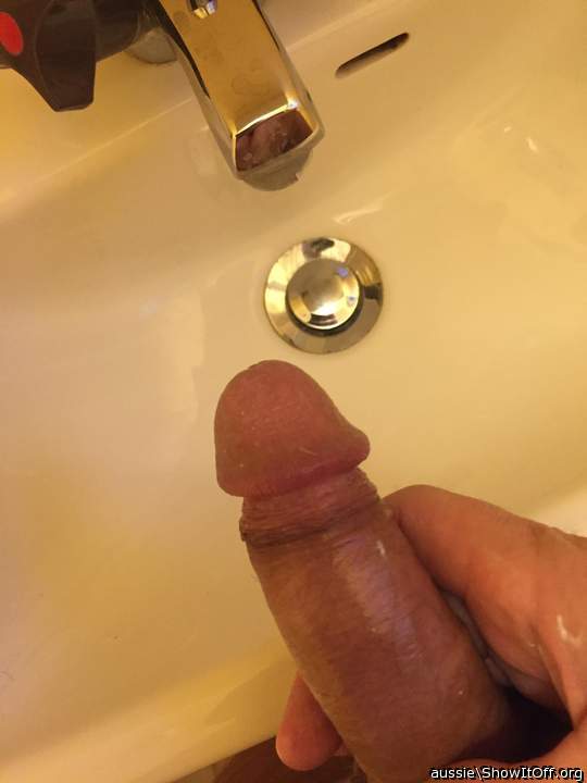 Adult image from aussie