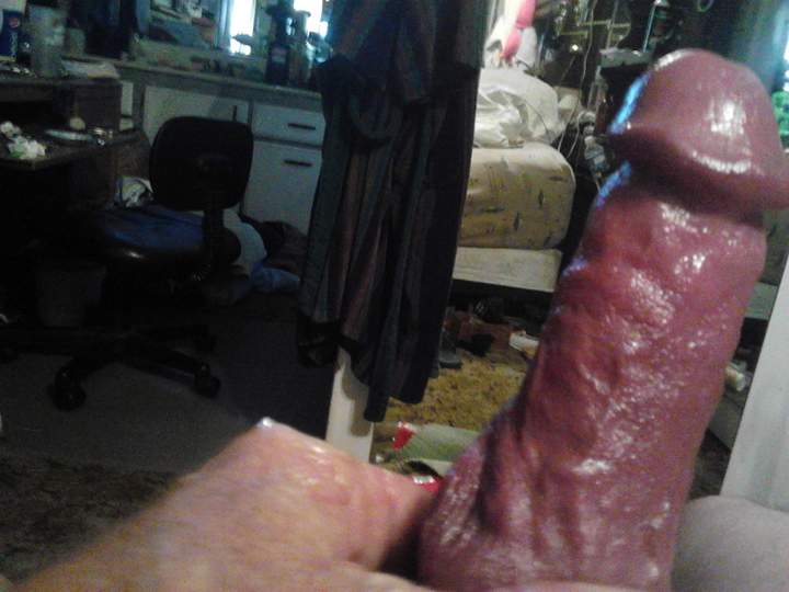 Adult image from fish4free