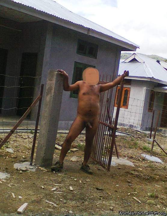 Adult image from Animesh