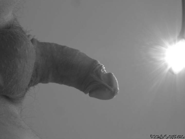Adult image from peter_b