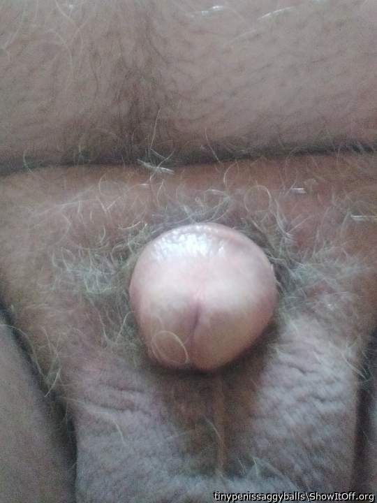 sucking is what i would like to do 