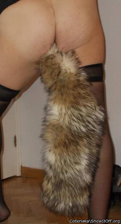 foxtail_02