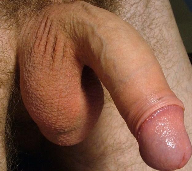 Adult image from vtbartje