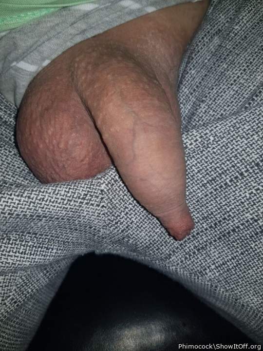 Adult image from Phimocock