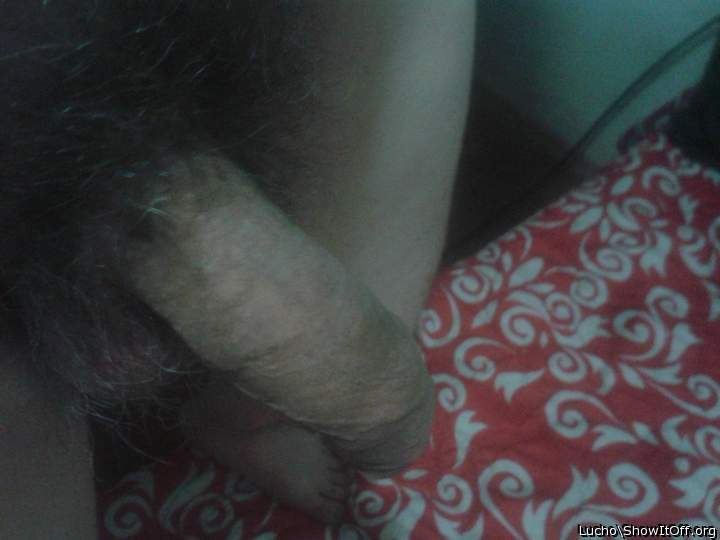 Adult image from Lucho