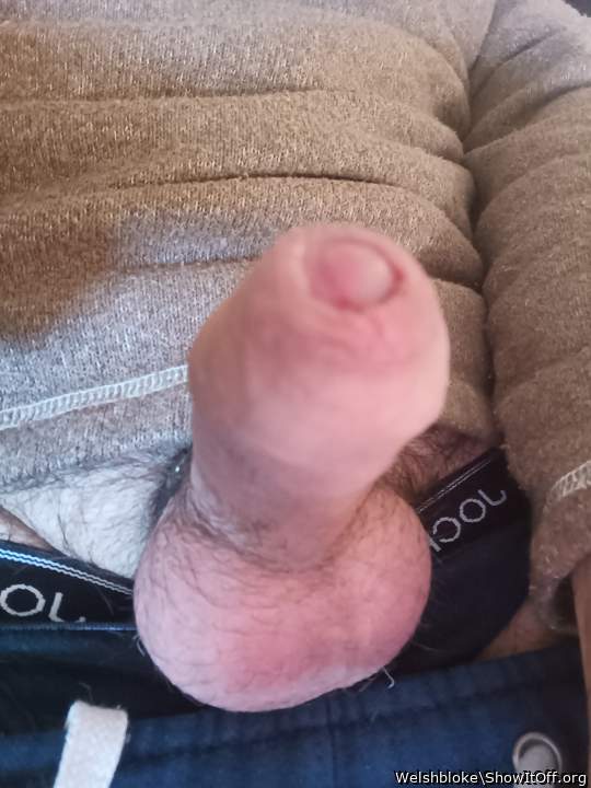Adult image from Welshbloke