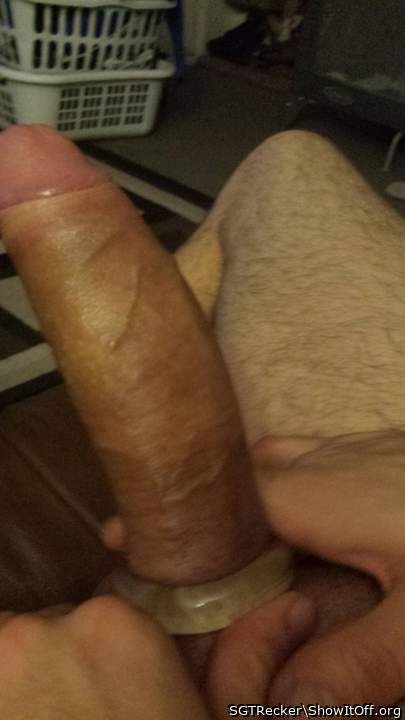 Adult image from SGTRecker