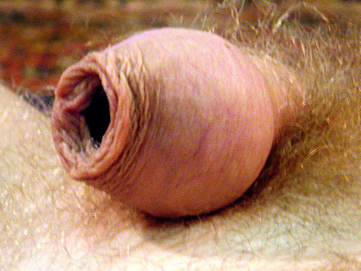 Adult image from slipper