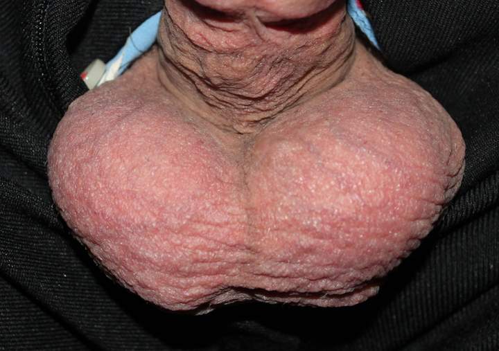 Adult image from lilsoftee