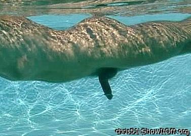 Time for a swim