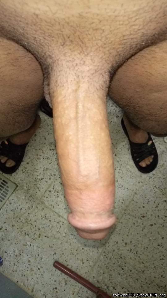 Adult image from rodwan230
