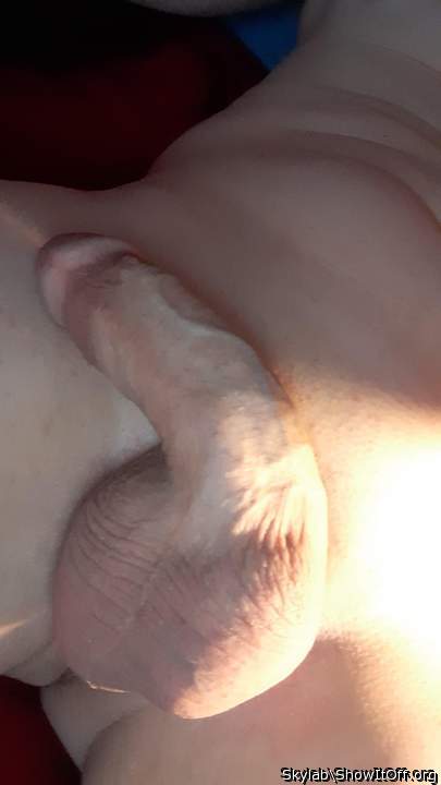Adult image from Skylab