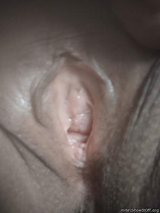 Adult image from mite