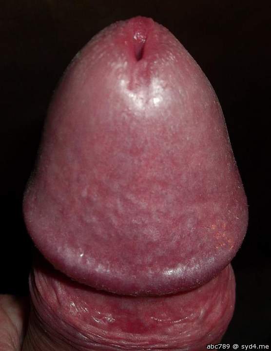 Adult image from abc789