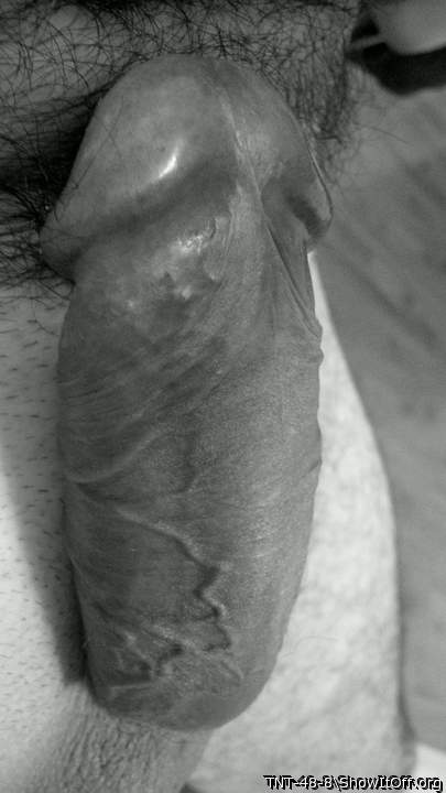 Adult image from TNT-48-8