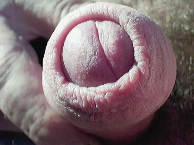 Adult image from Aussie123