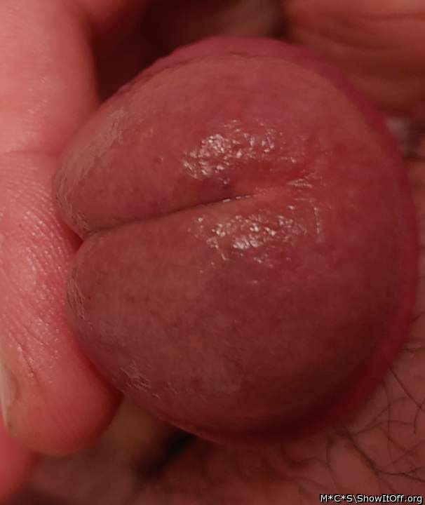 Adult image from M*C*S