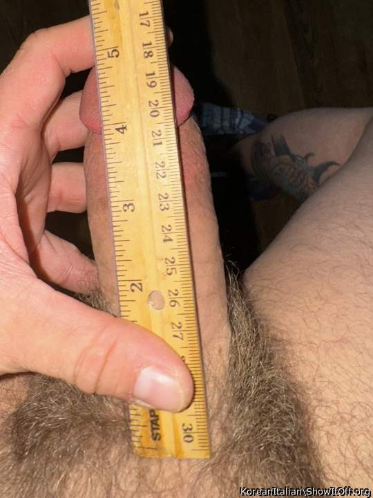 Is that fully erect size?