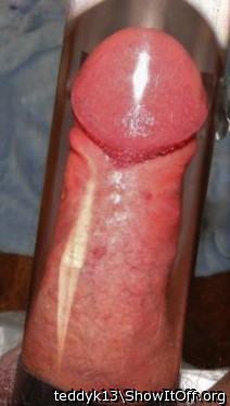 Adult image from teddyk13
