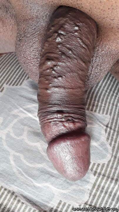 Adult image from Animesh