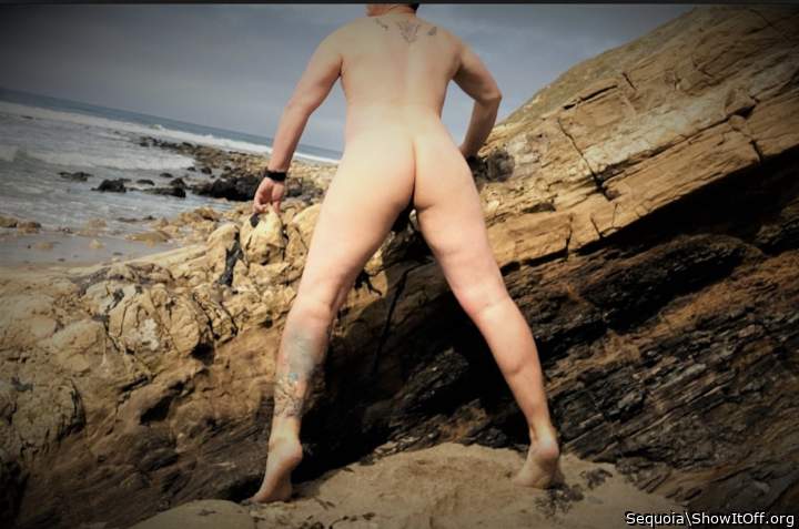 Adult image from Sequoia