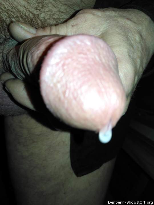 Adult image from Denpenn