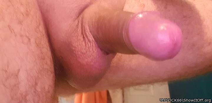 Adult image from MYCOCK66