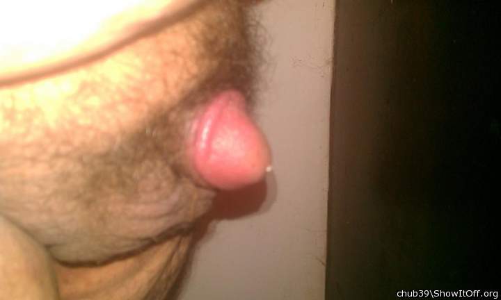Adult image from chub39