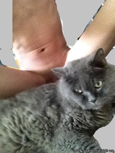 Adult image from OsQ_Oscar