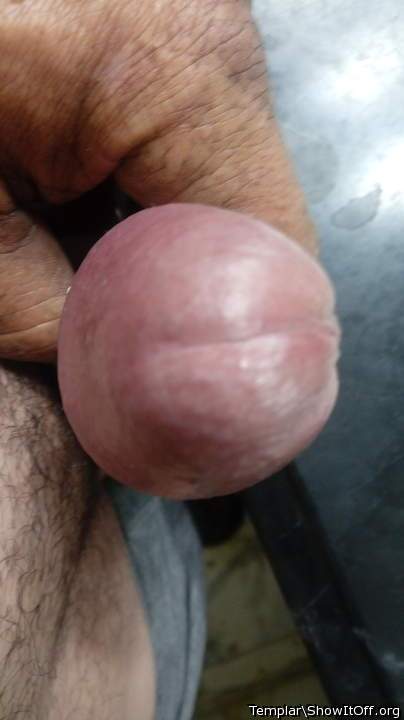 Adult image from Templar
