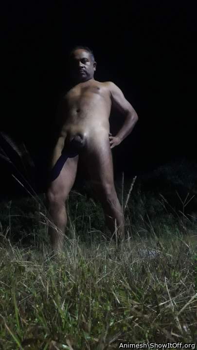 Adult image from Animesh