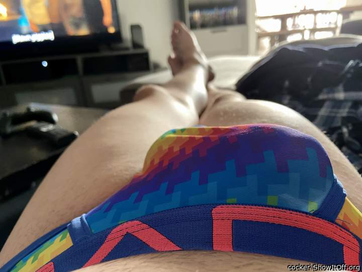Adult image from cocker