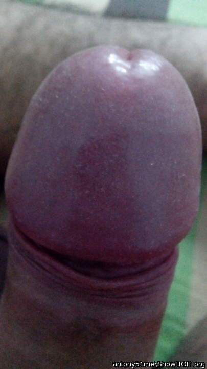 Adult image from antony51me