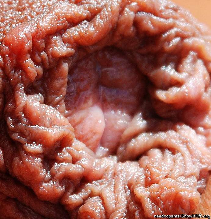 Adult image from neednopants