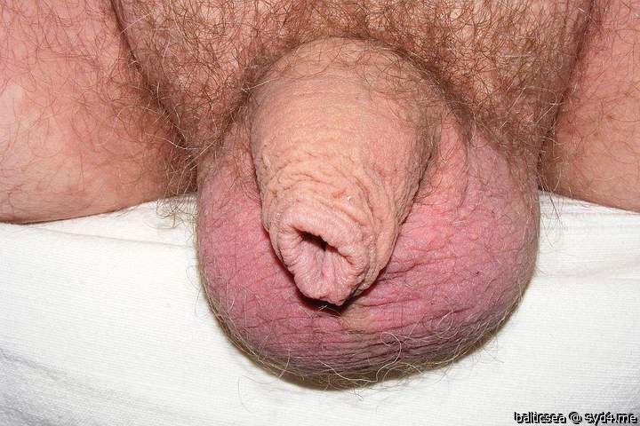 Adult image from balticsea
