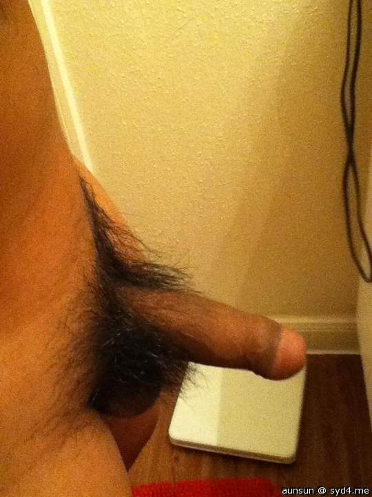 Adult image from aunsun