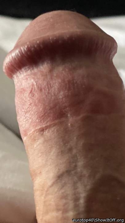 Adult image from eurotop40