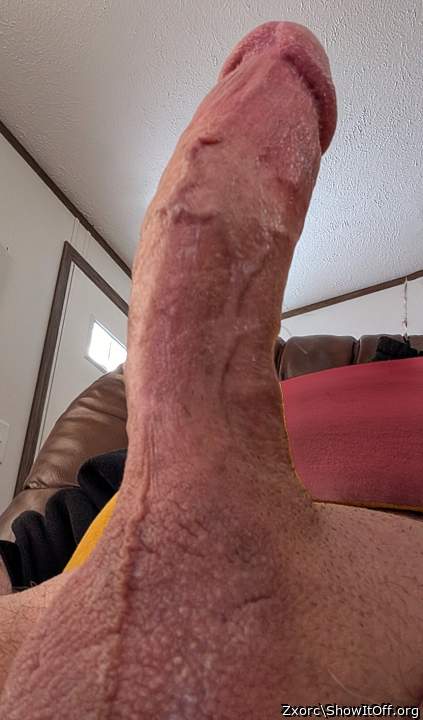 Adult image from Zxorc