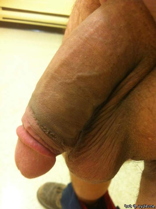 Adult image from 8x6