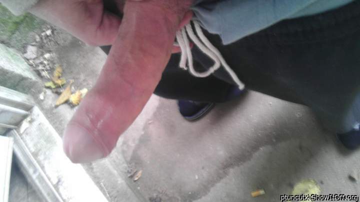 Adult image from ptuncutx