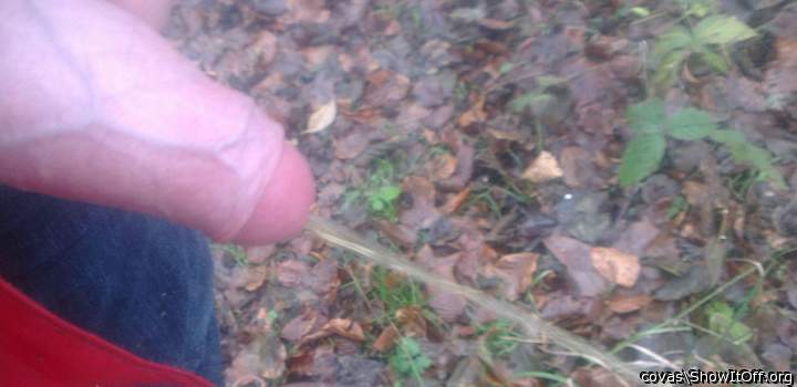 Adult image from covas