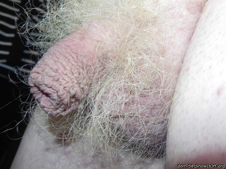 Adult image from dom-58