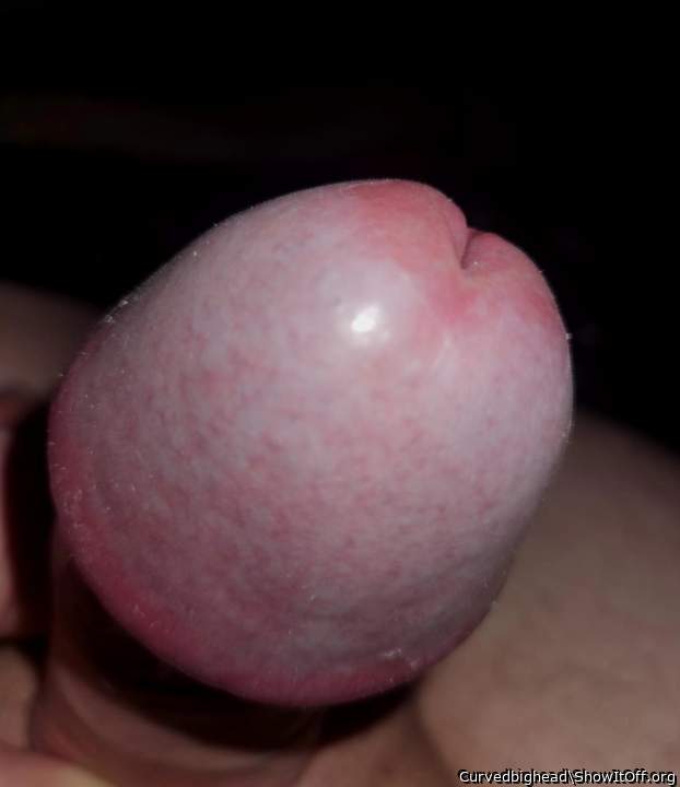 Shiny tip