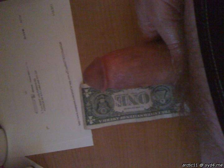 Adult image from arctic11
