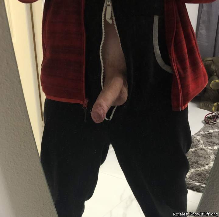 Adult image from Rojales